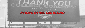 Baseball Protective Screens