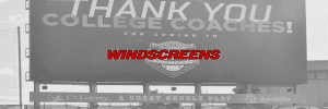 Custom Windscreen